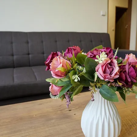 Apartmanovy Kristyna 公寓 *