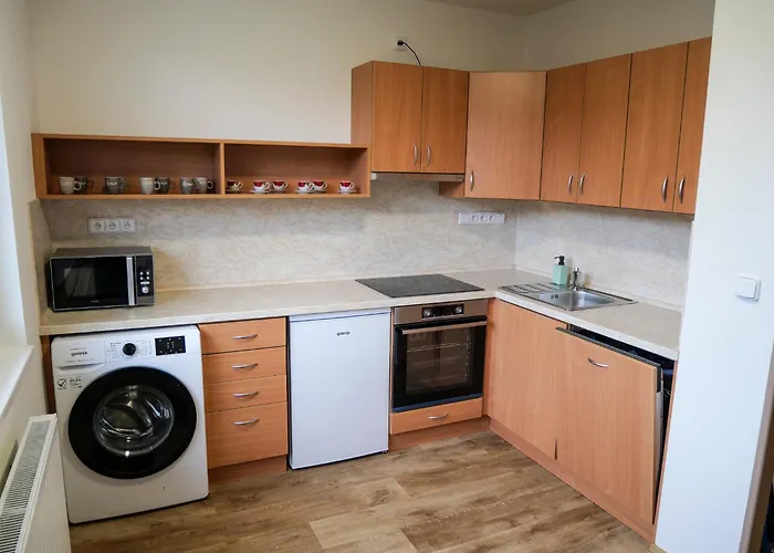 Apartmanovy Kristyna 公寓
