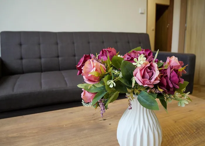 Apartmanovy Kristyna Lejlighed *